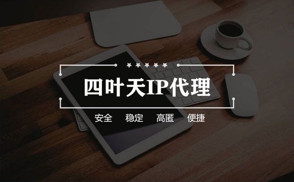 【资阳代理IP】如何快速搭建代理IP？怎么检查代理的效果？